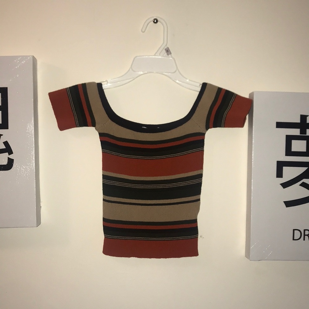 Autumn colored u-neck crop top.